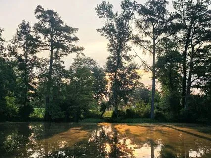 Morning Gratitude Meditation