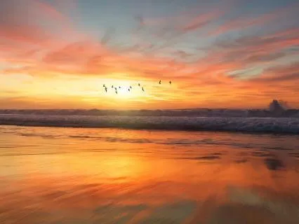 Morning Gratitude - Open To Life