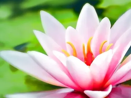 Morning Gratitude Practice 