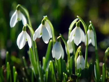 Morning Gratitude Practice