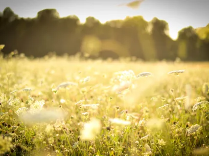 Morning Gratitude Practice