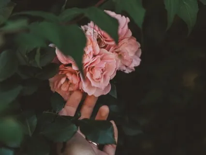 Morning Gratitude Practice: Three Things