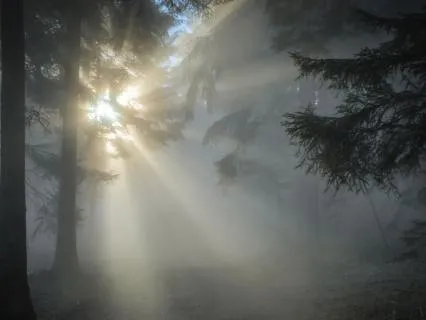 Morning Gratitude Ritual To Raise Your Vibration