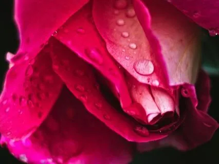 Morning Gratitude Ritual