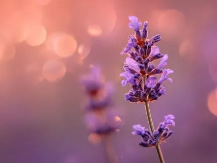 Morning Gratitude & Self Compassion