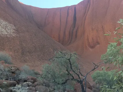 Heart-Focused Gentle Guided Body Scan