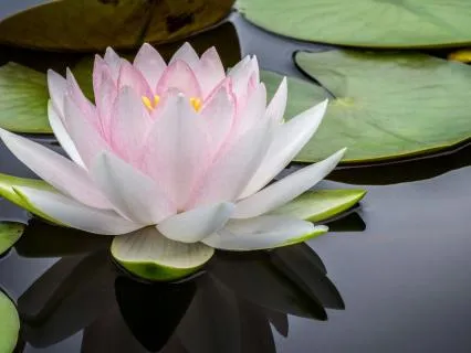 Morning Ground, Connect, Protect Meditation