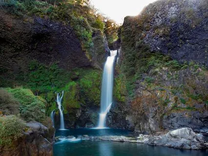 Morning Grounding Affirmations