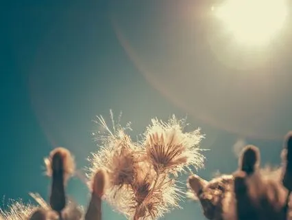 Morning Visualization: Barefoot Walk With Breath (Grounding)