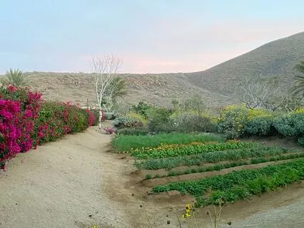 Morning Grounding - Begin Your Day In Connection