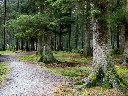 Morning Grounding: Begin Your Day In Peace And Presence