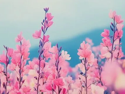 Morning Grounding & Clarity