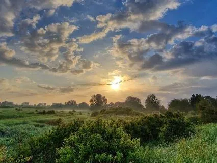 Morning Grounding: Find Balance At The Start Of Your Day