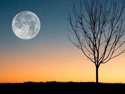 Morning Grounding In The Present Moment