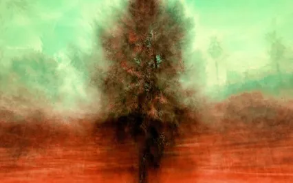 Morning Grounding Practice