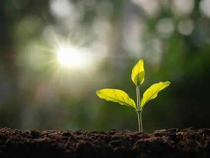 Morning Guidance: Perfect, Simple Movement Out Of Bed