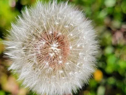 Morning Guided Contemplation Meditation, For A Grand Rising