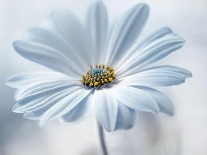 Daily Morning Self Love Affirmations Practice 