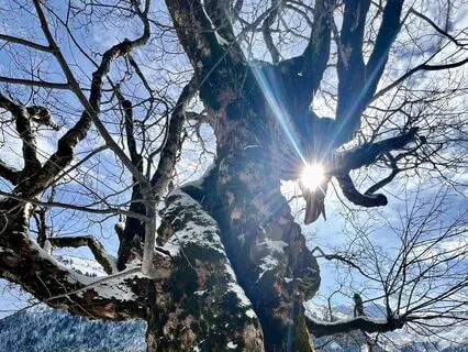 Morning Healing Meditation