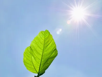 Morning Heart Chakra Affirmation Practice