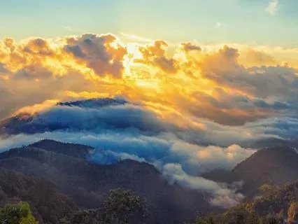 Morning Heart Coherence Meditation | 20 Minute Practice