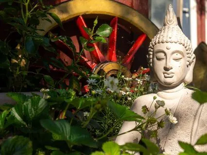 Morning Heart Meditation