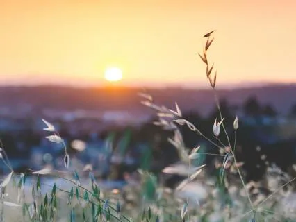 Morning Inspiration: Gratitude