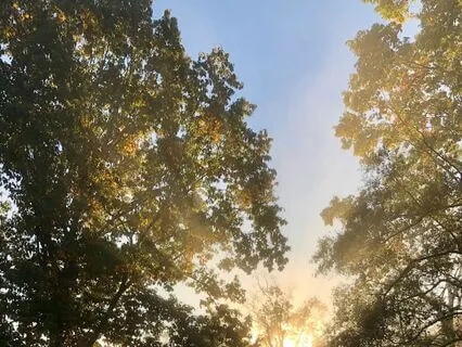 Morning Inspirational Motivation