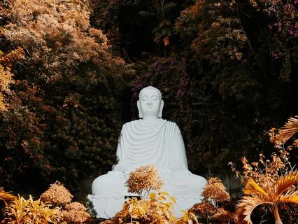 Morning Inspirations #03: Breathe Into Possibility