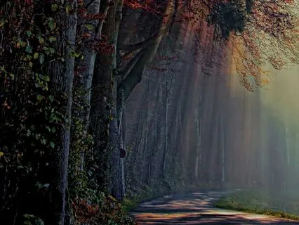 Morning Inspirations #05: The Gift Of Beginning Again