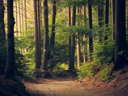 Morning Intention Meditation