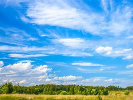 Morning Intention Meditation | Calm, Clarity & Focus