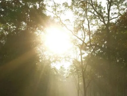 Morning Intention | Mini Breath Practice