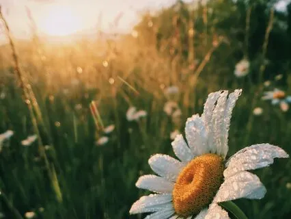 Morning Intention Practice (With Music)