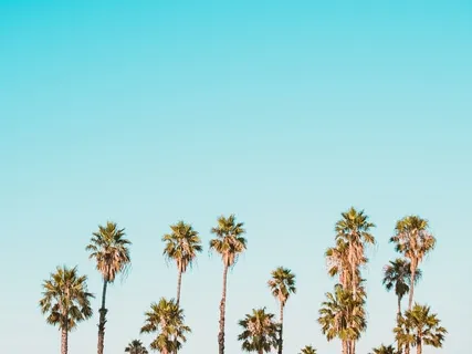 Morning Intention Setting Meditation