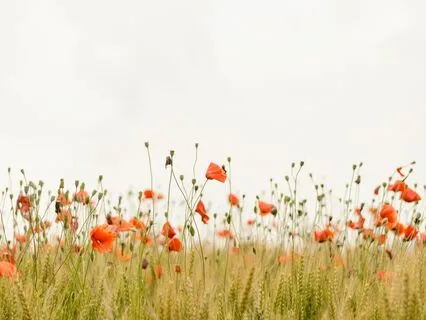 6 Minute Set Intention