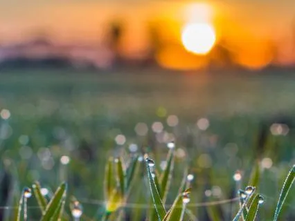 Morning Intention Setting