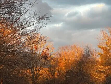 Morning Intention: Trusting In The Highest Good