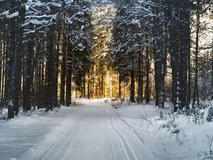 Morning Intentions Meditation