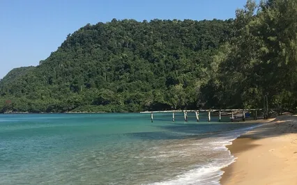 Morning Journal Check In