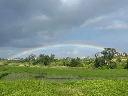 Morning Journey With The Elements; Nourish And Ground
