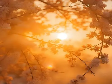 Morning Light – A 3-Minute Awakening