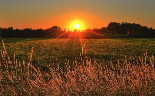 Morning Light Meditation