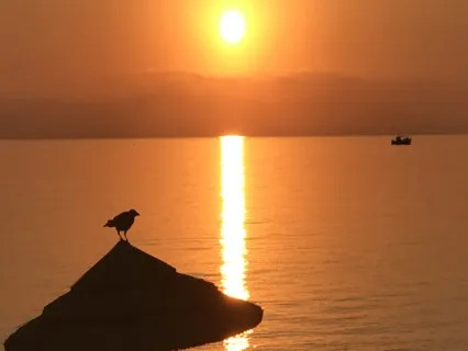 Morning Light Meditation