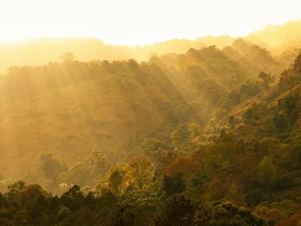 Morning Light Meditation