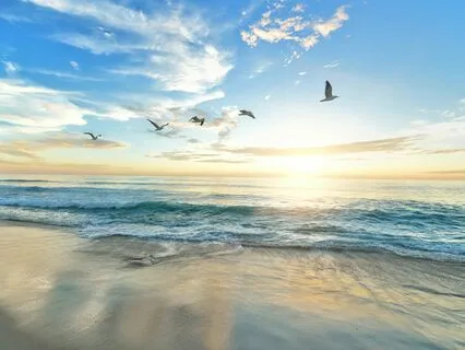 Morning Light Meditation