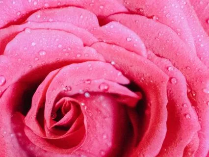 Morning Light On Strings — Gentle Saxophone For Relaxation