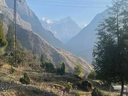 Morning Light Reflections