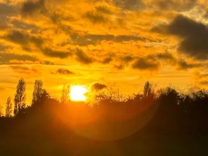 Morning Light: Rising From Within