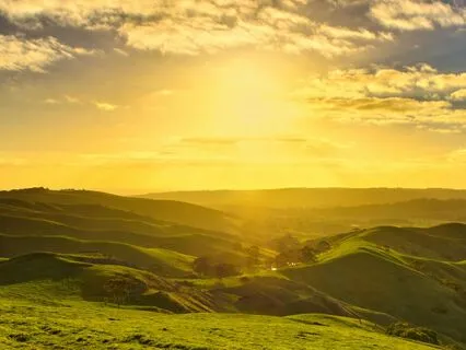 Morning Love And Gratitude